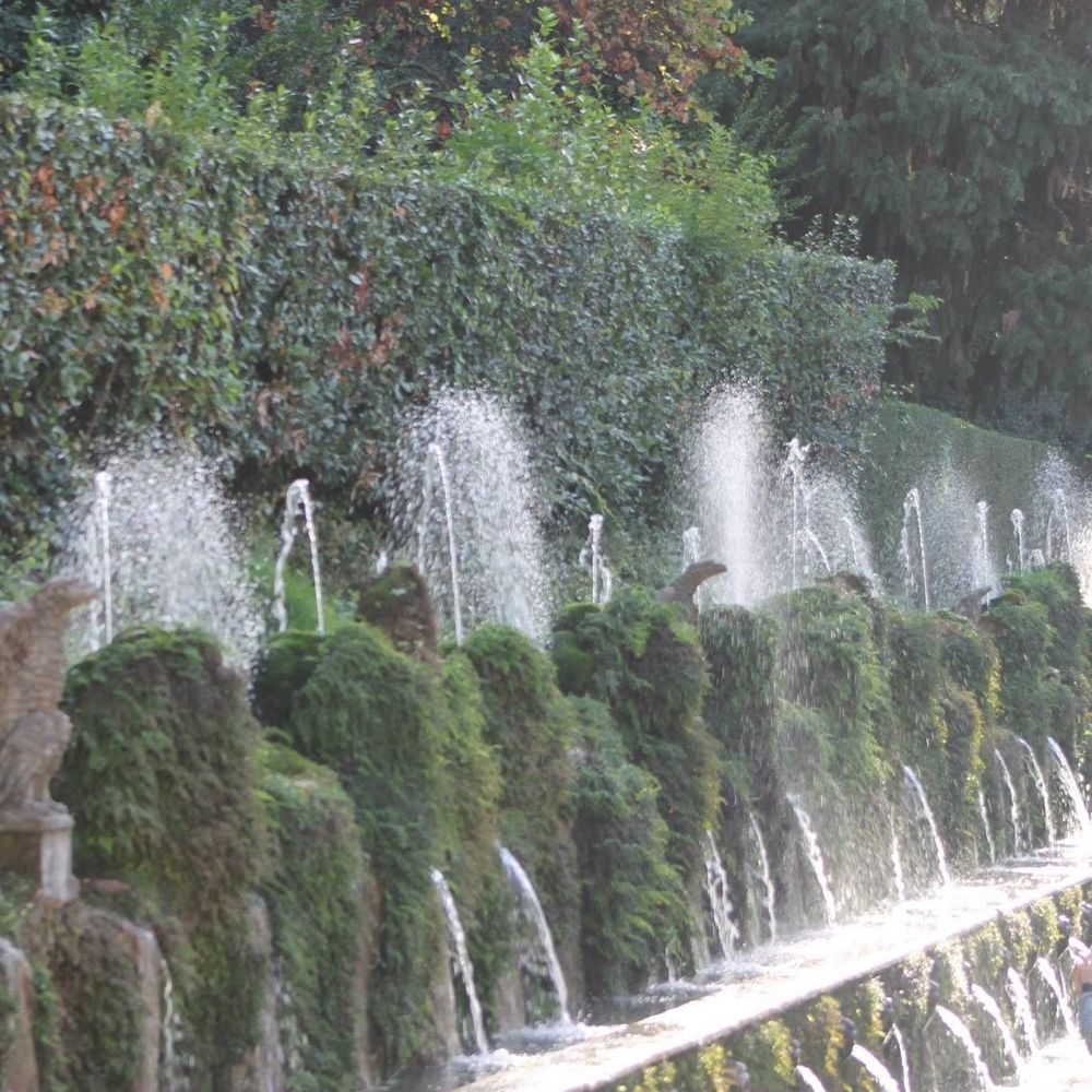 Meet your Posher, Maureen